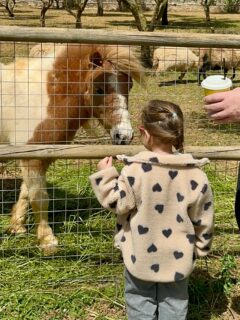 Farm Vibes 

#farmvibes #farmlife #slowliving #animallovers #ᴍᴏɴᴅᴀʏᴍᴏᴏᴅ